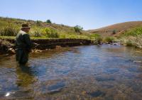 B&B Mashishing - Highland Run Fly Fishing Estate by Dream Resorts - Bed and Breakfast Mashishing