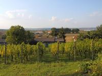 B&B Milovice - Holiday Home Milovice by Interhome - Bed and Breakfast Milovice