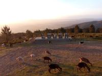 Casa do Pastor - B&B Lousã