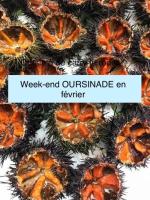 200m de la plage ,3mn du port à 50m du centre ville - B&B Carry-le-Rouet