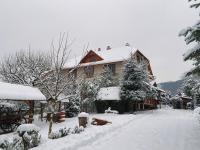 Вілла де Кампо - B&B Chynadiyovo