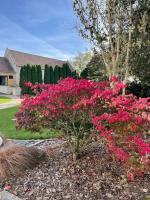 Gite l'Atelier - B&B Le Bû-sur-Rouvres