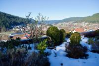 Appartement mit herrlicher Aussicht übers Murgtal - Chambres d'hôtes Baiersbronn