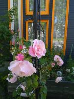 Guest House Annabel - B&B Hakodate