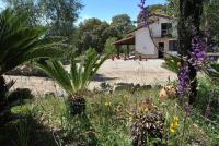 VILLA CYCAS relax tra mare e natura - Chambres d’hôtes Sperlonga