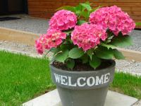 Doppelzimmer mit Gartenblick