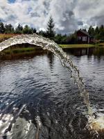 Cottage met 2 Slaapkamers