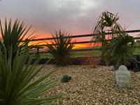 Deluxe Double or Twin Room with Garden View