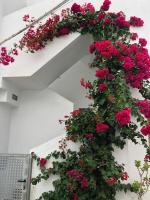 Apartamento La Ola - B&B