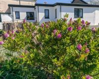 Darracott Farm Cottage - B&B Welcombe