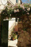 Lovely apartment in old part of Vis - B&B