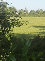 Cabane chic et romantique MUSCADELLE près de Bordeaux - B&B Saint-Sulpice