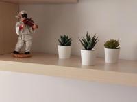 La Preziosa Apartment - B&B Napoli