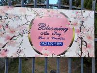 Blooming Nice Stay - B&B Harrismith