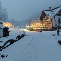 Pensiunea Doina - B&B Vadu Izei