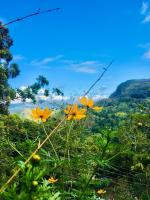 Bella Ella - B&B Ella Town