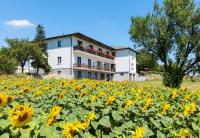 B&B Breitenbrunn - Gasthof-Pension Wein - Bed and Breakfast Breitenbrunn