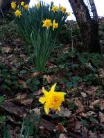 Chambre au Domaine Spa-piscine sauna - B&B Lescout
