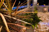 Pousada Aurora - B&B Alto Paraíso de Goiás