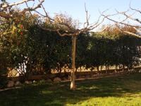 Casa rural, masia antigua restaurada - Bed and Breakfast