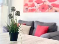 Apartamento con vistas al jardín