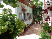 B&B Eforie Nord - Casa Munteanu - Bed and Breakfast Eforie Nord