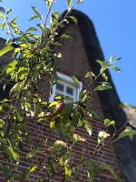 Eidumhaus, freistehendes Reetdachhaus mit Garten in Strandnähe - B&B Westerland