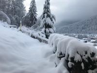 Appartement Birkheim - B&B Oetz