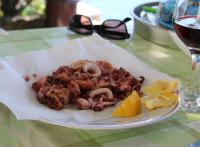 Sea of Eden - Ferienwohnung Dubrovnik