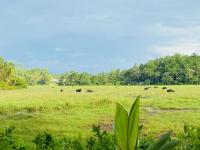 UMAAY ViLLAS - Chambres d’hôtes Hikkaduwa