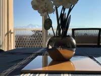 Cap Sud - 53m2- VUE PYRENEES- HYPERCENTRE-WIFI FIBRE -Nouvelle literie - B&B Tarbes