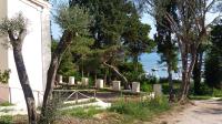 B&B Baratti - I Pesci nel golfo di Baratti - Bed and Breakfast Baratti