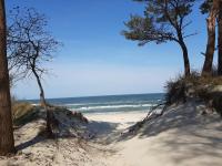 Apartamenty Marzeń - B&B Grzybowo