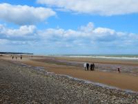 Le chalet de la Ferme Feugère - B&B Barbeville