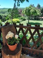 Forrás-hegyi Apartman - B&B Felsőörs