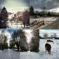 Pałac Paprotno - B&B Karnice