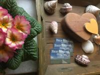 Haus Horizont - Chambres d’hôtes Dyksterhusen