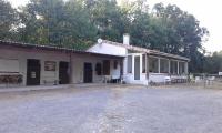 ferme équestre des abrons - Bed and Breakfast