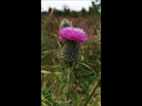 The Anchorage B and B - Chambres d’hôtes John O' Groats