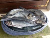 Apartment Sun - B&B Vir