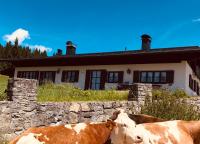 Ferienwohnung in Unterwirts Almhütte auf der Winklmoosalm - Ferienwohnung