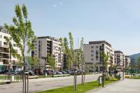 Stil Apartment Brasov Coresi - Bed and Breakfast Braşov