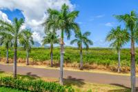 Appartement met 3 Slaapkamers