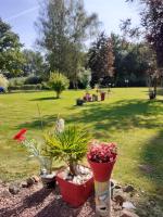 Petite maison Normande - Bed and Breakfast Bellou-en-Houlme
