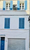 LOFT LE BER'AMAR L'ESTAQUE - B&B
