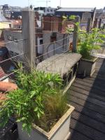 Duplex dernier étage avec terasse à deux pas de la grand place - Chambres d’hôtes