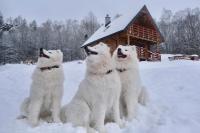 Haus mit 2 Schlafzimmern
