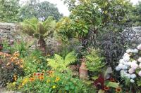 The Hermitage - B&B Great Torrington