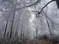 Casa con 5 Camere da Letto