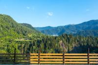 Grand Chalet BBQ&Garden - Svaneti Countryside 2 - Chambres d'hôtes Sgobuldi